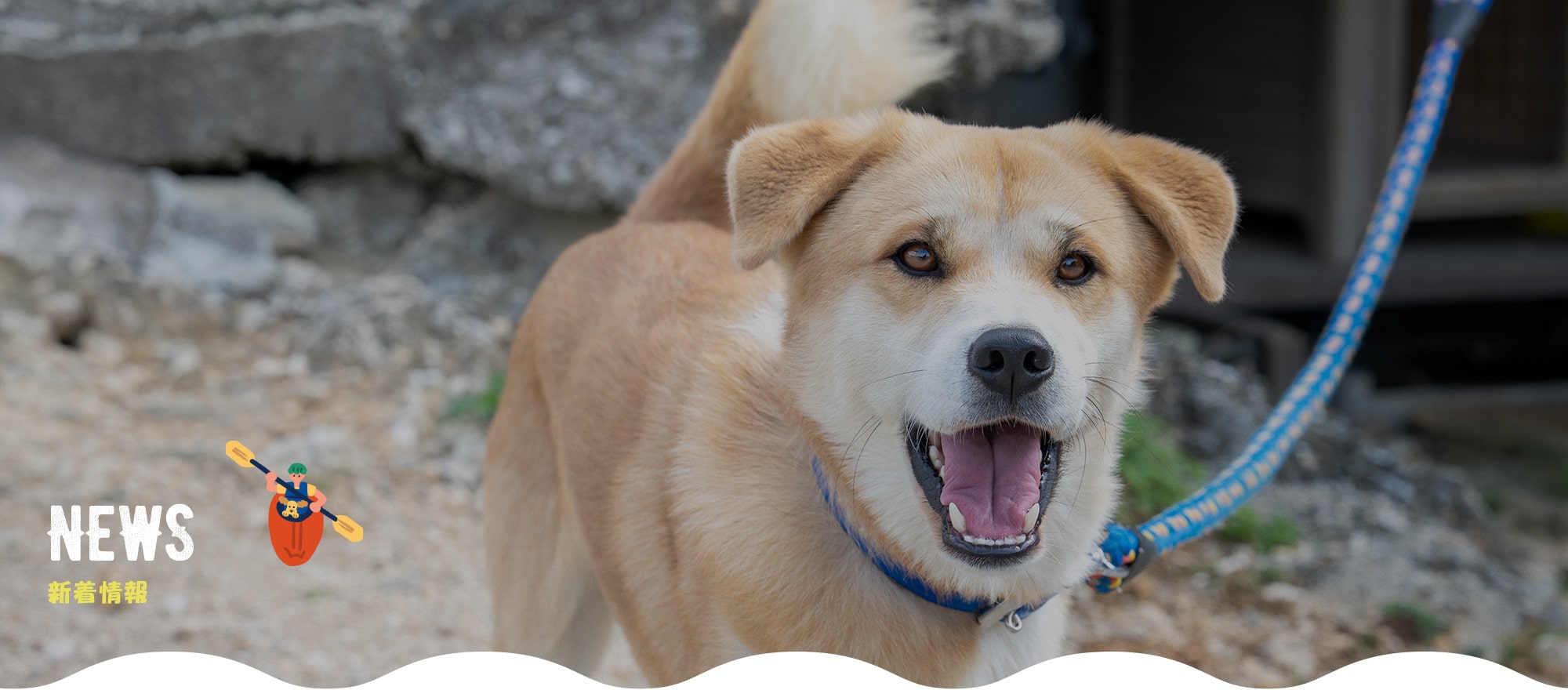 オフィシャルブログ